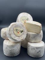 aveyron circuit court regroupement larzac massification fromage brebis chevre melange
